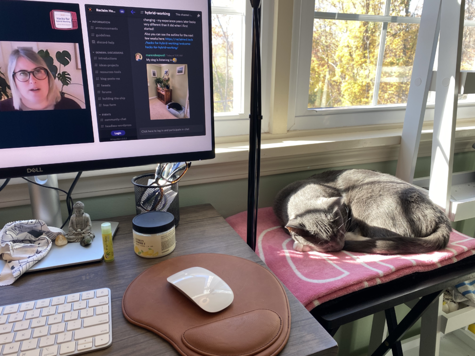 Image of cat sleeping on small table next to desktop.